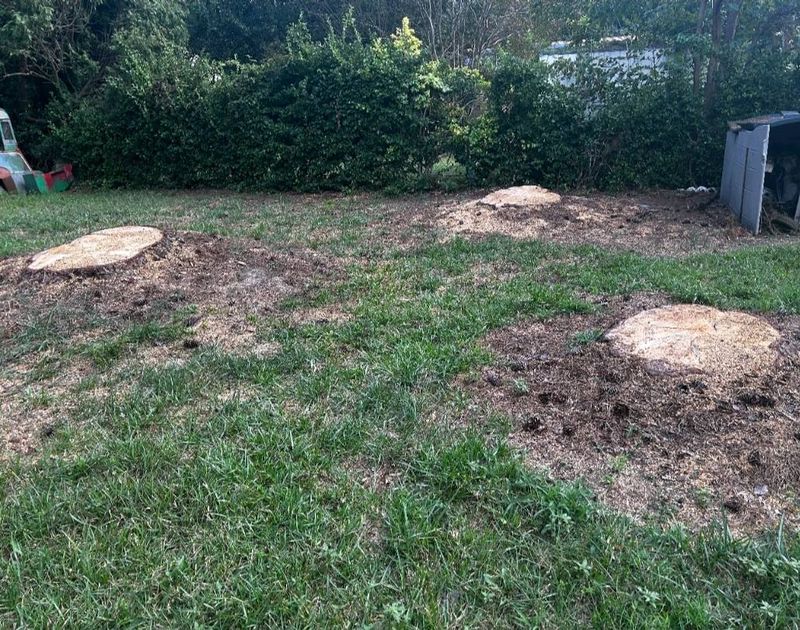 Stump Grinding