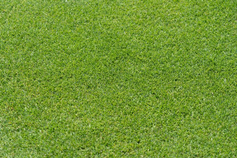 Lawn Mowing