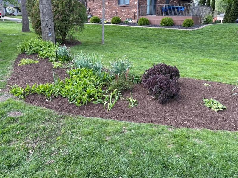 Garden Designs
