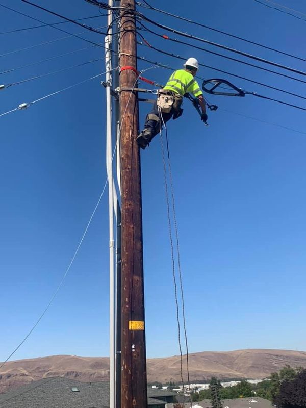 Tree Services