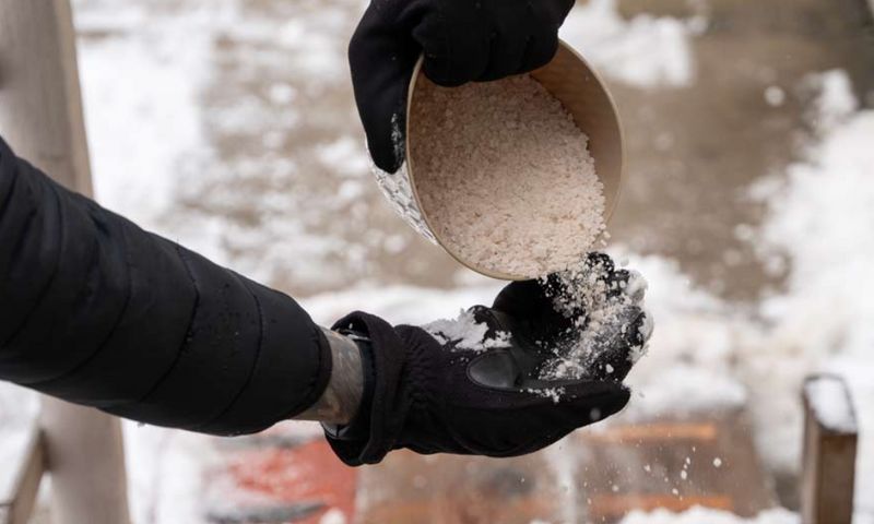 Ice Management