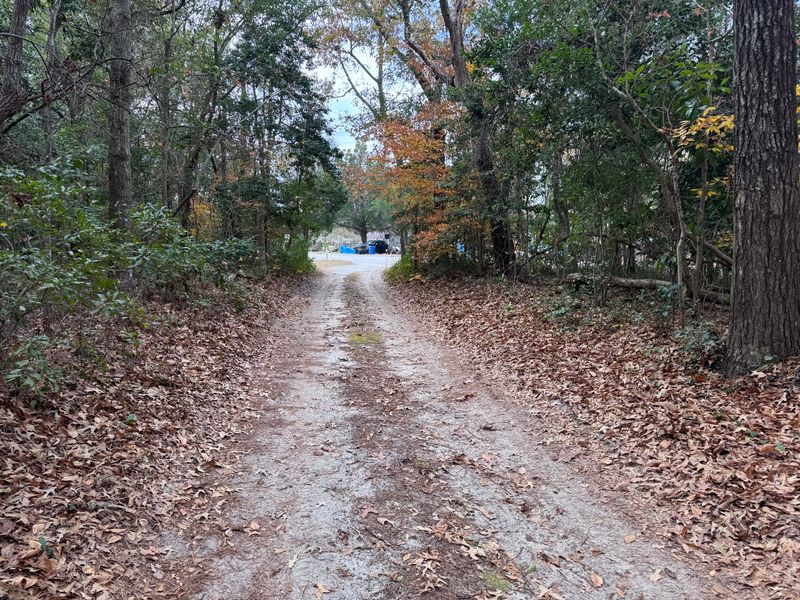 Brush Cutting