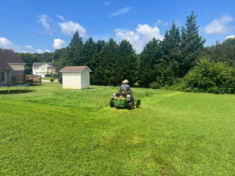 Lawn Care and Maintenance
