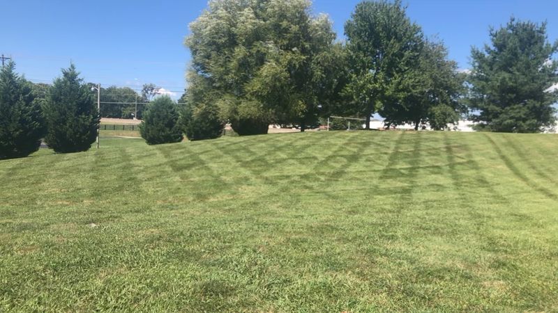 Lawn Care