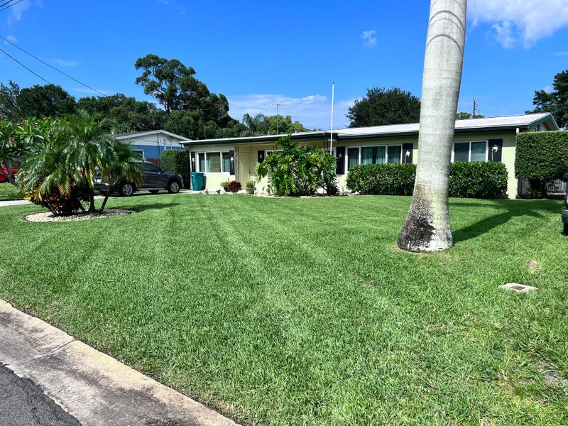 Lawn Maintenance