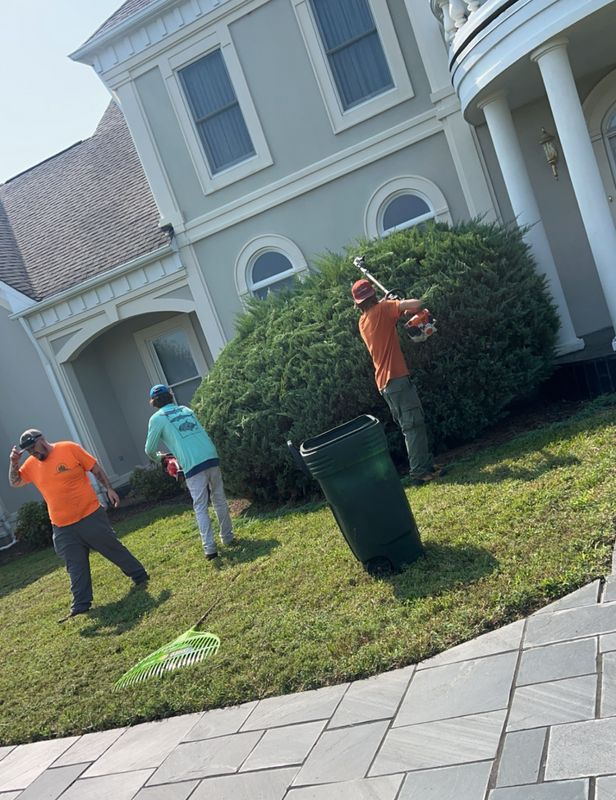 Shrub Trimming