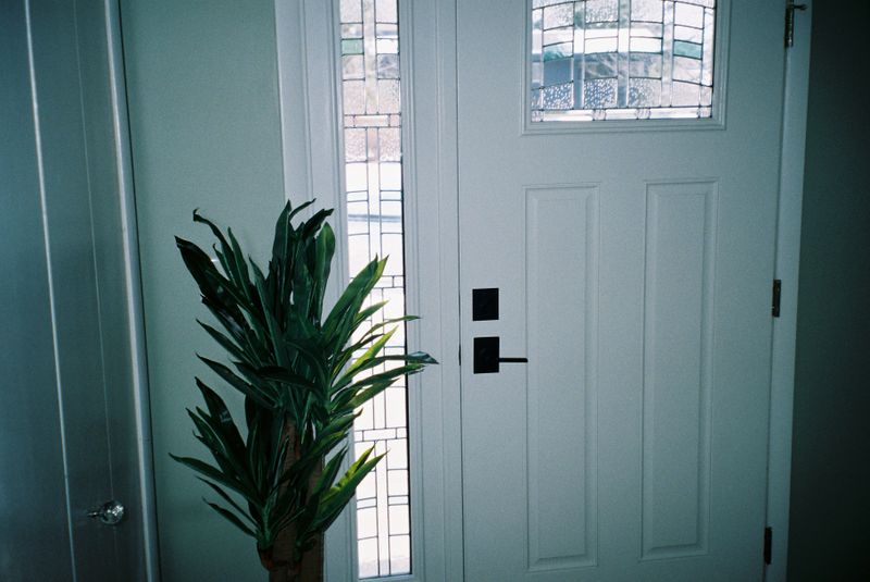 Windows & Doors