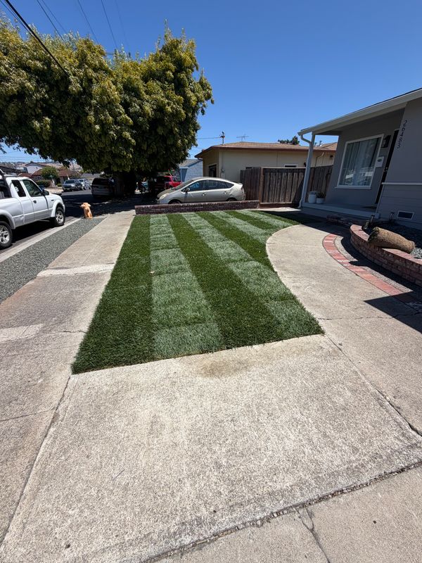 Lawn Maintenance