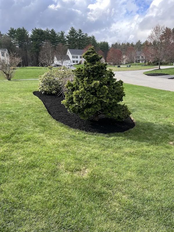 Lawn Repair and Expansions
