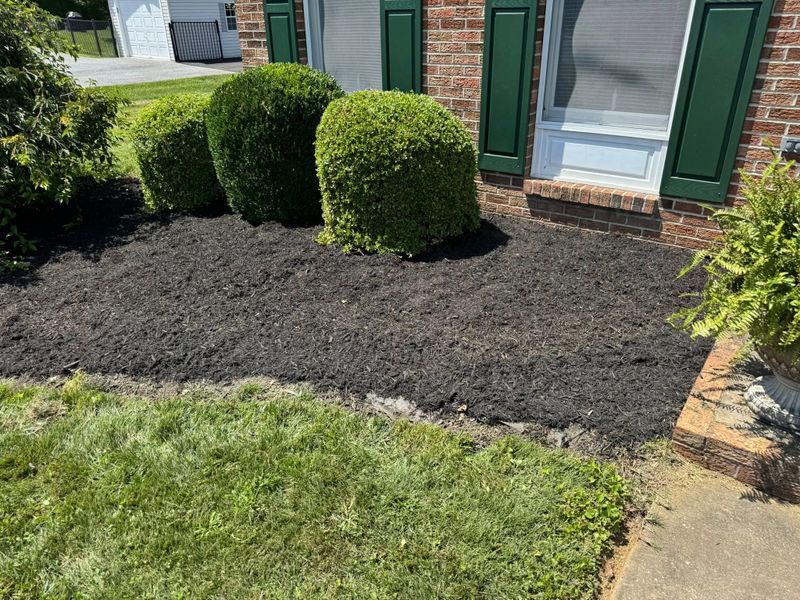 Landscaping