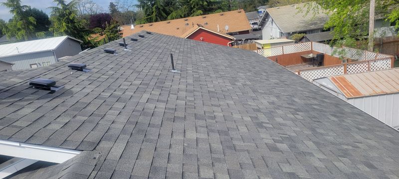 Shingle Roof Installation