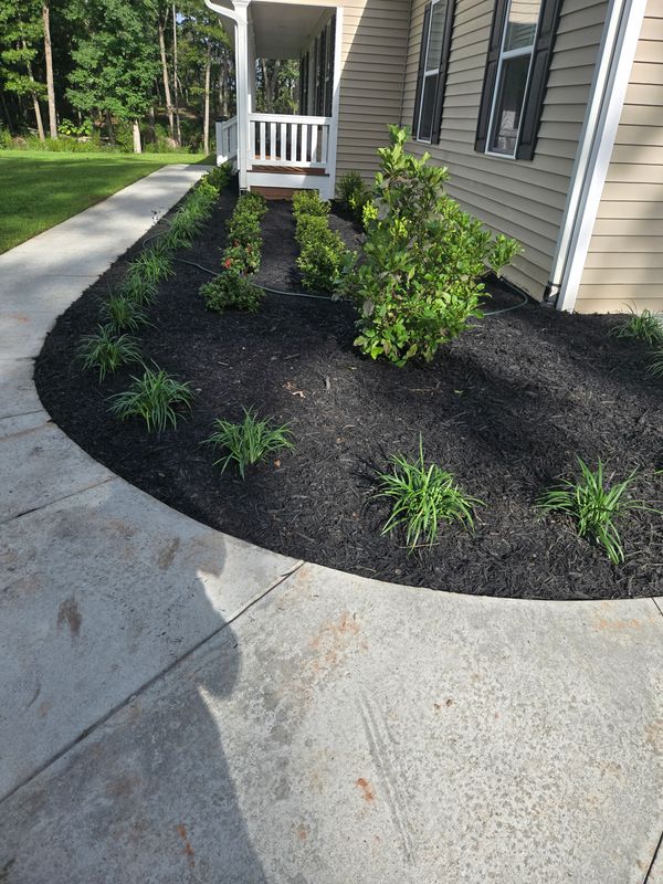 Mulch Installation
