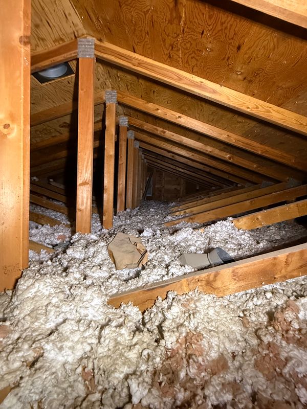 Free Attic Inspections