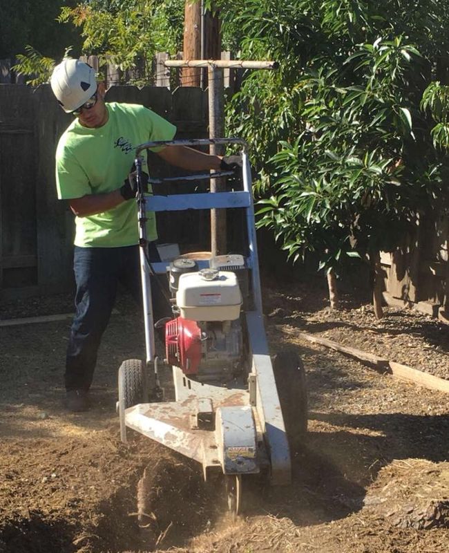 Tree Removal gallery