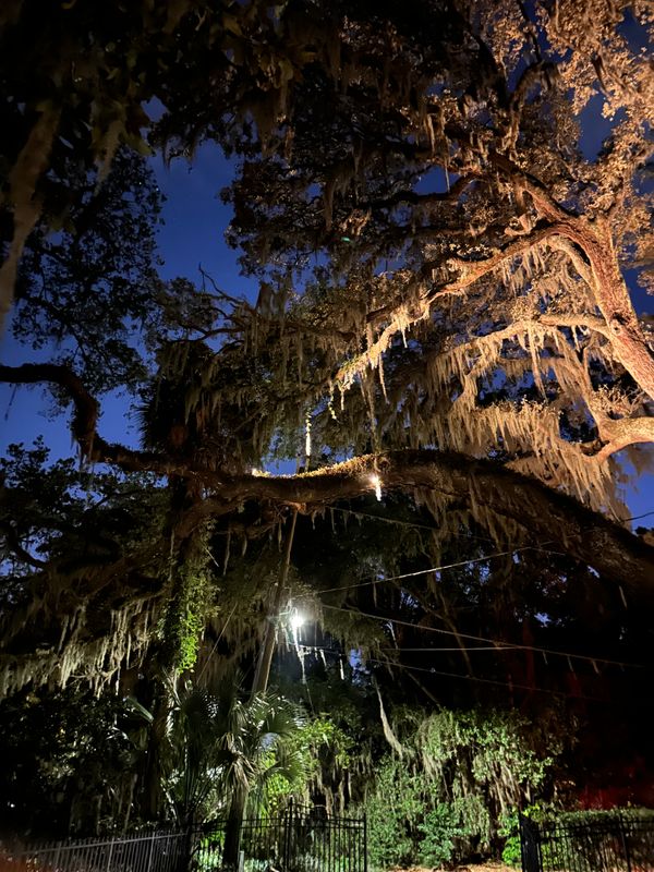 Landscape Lighting 