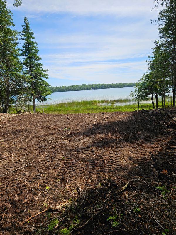 Lot Clearing