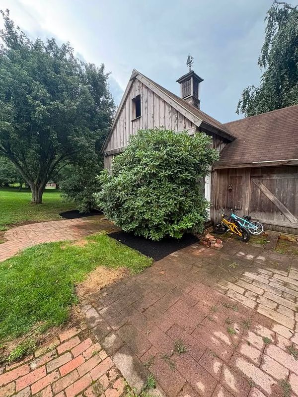Tree & Shrub Care