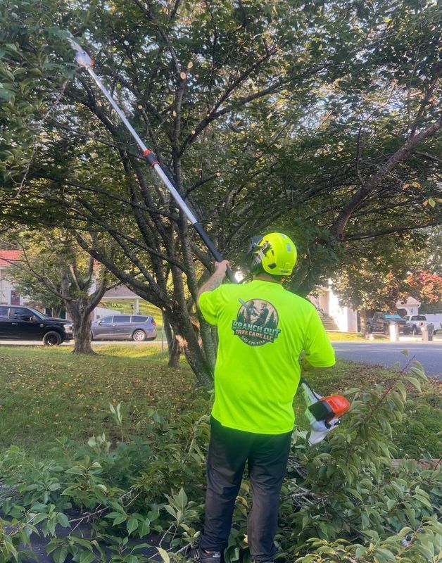 Tree Trimming