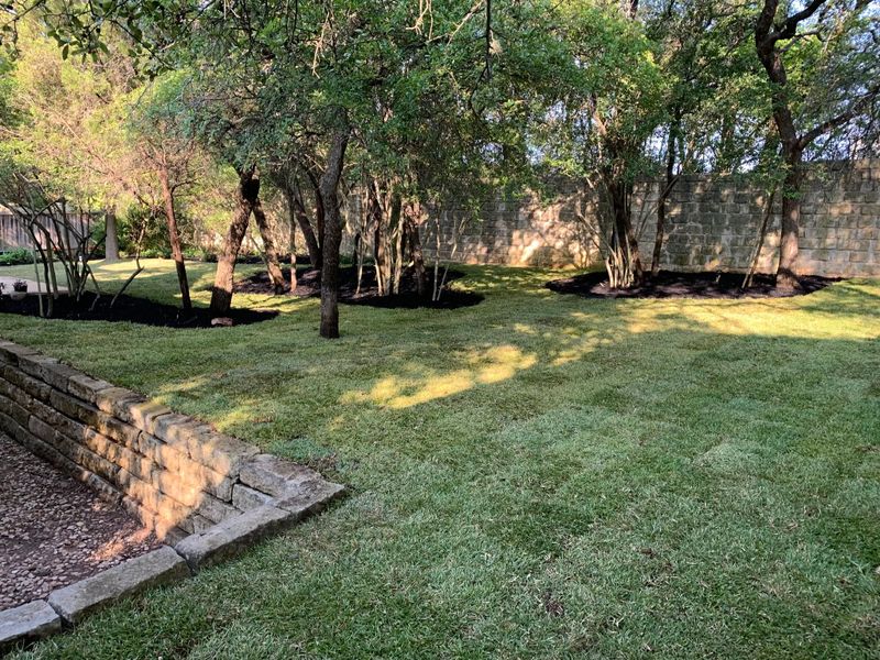Tree Pruning and Trimming