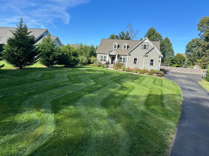 Lawn Care