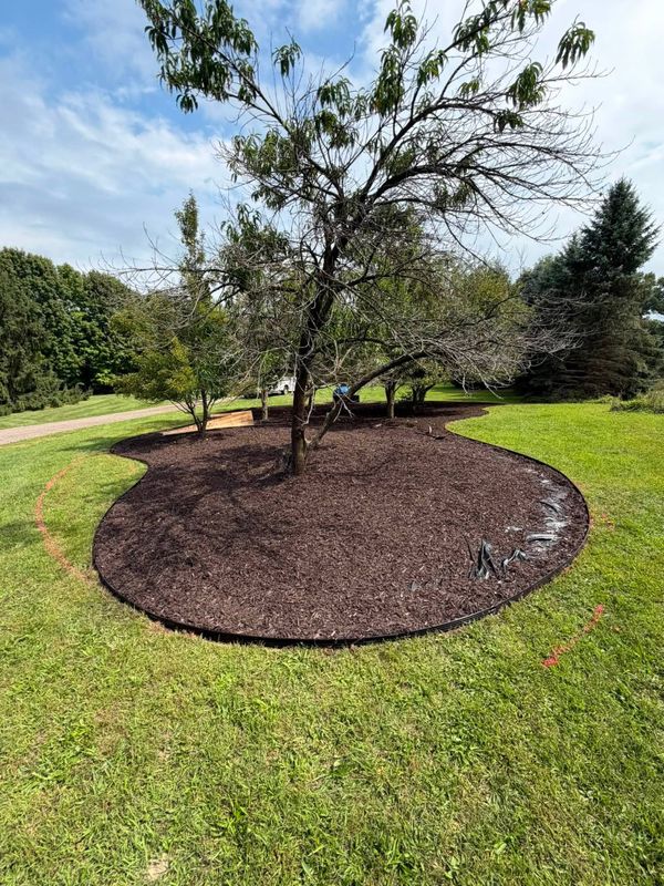 Mulch Installation