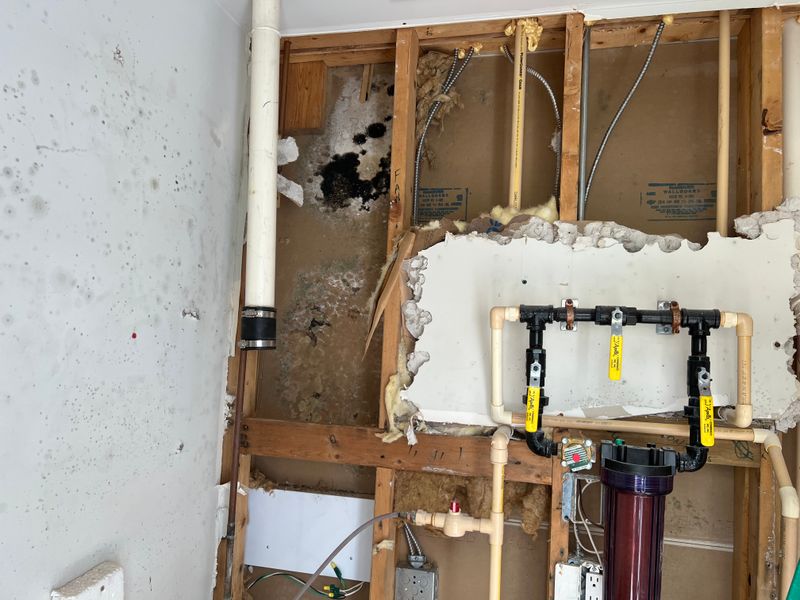 Mold Remediation