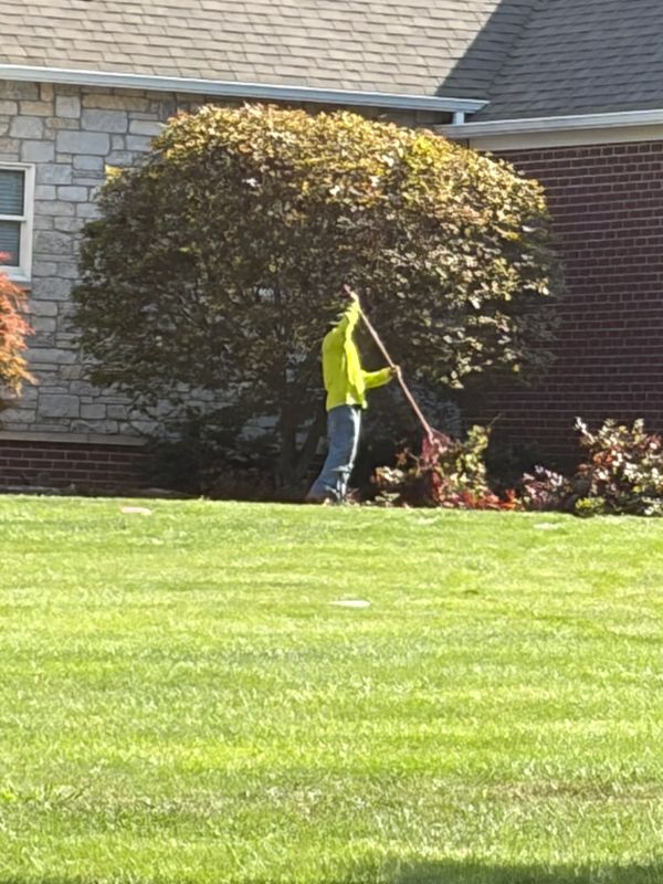 Shrub Trimming