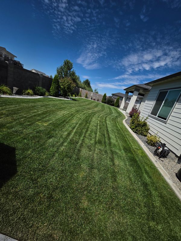 Lawn Mowing
