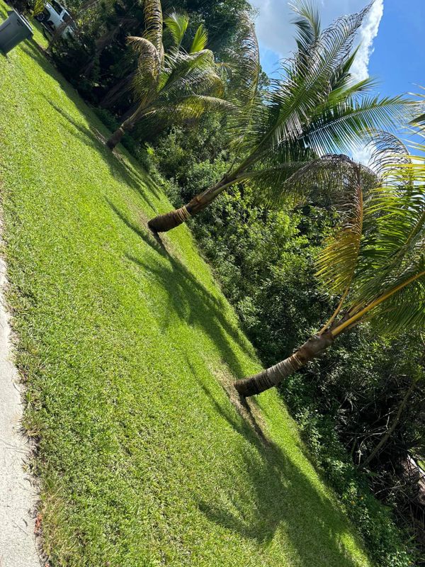 Lawn Care