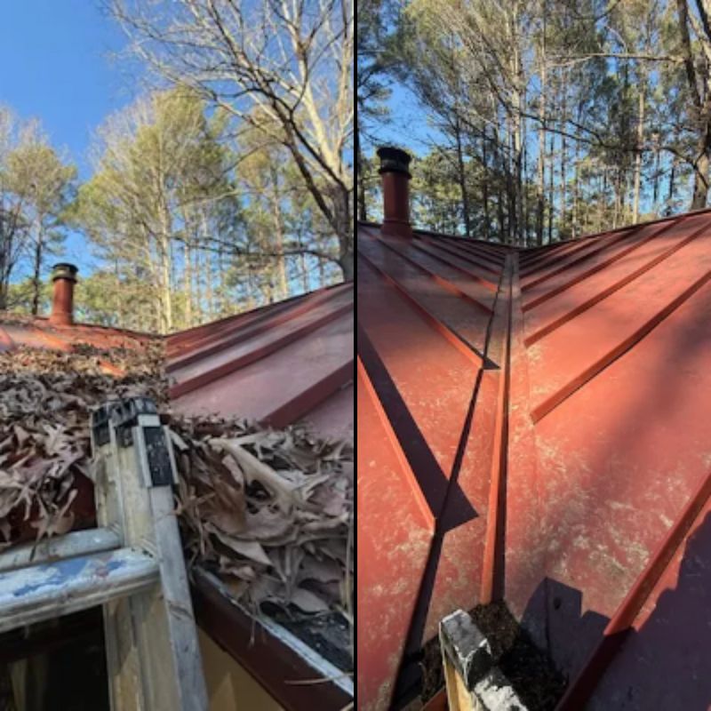 Gutter Cleaning