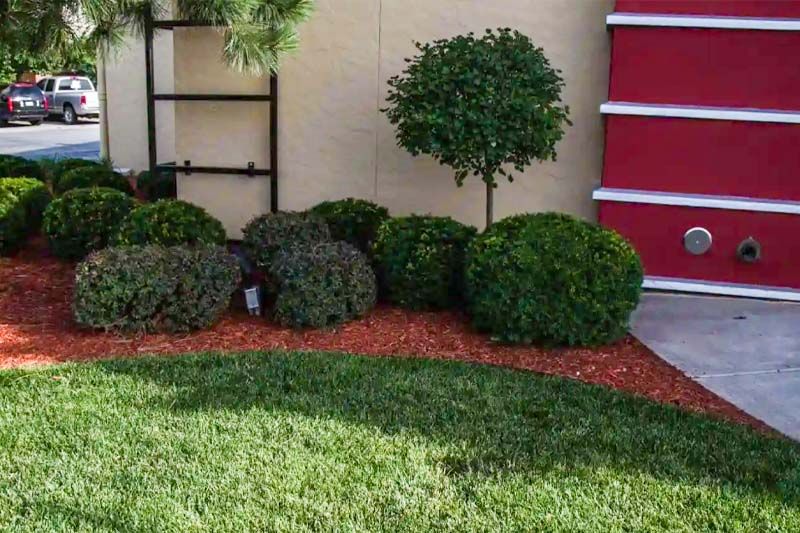 Landscaping
