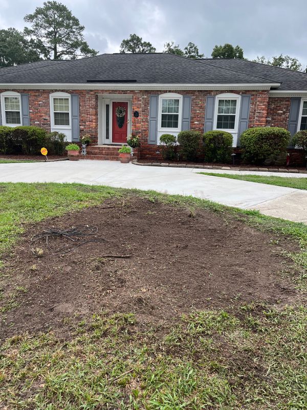 Stump Removal