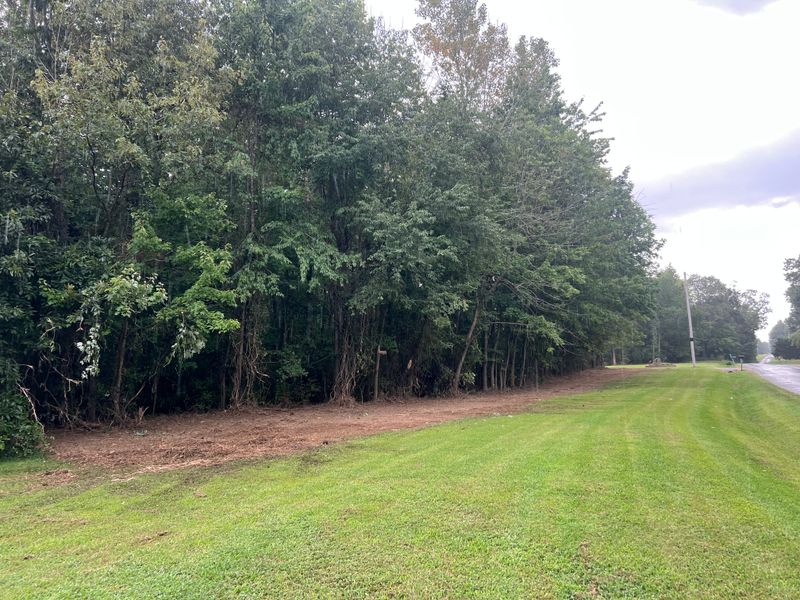Forestry Mulching