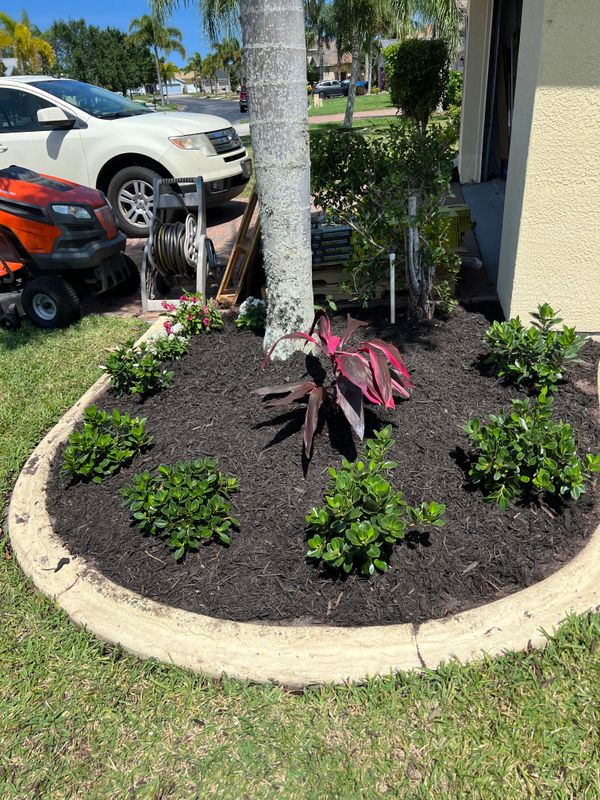 Flower Bed Installations