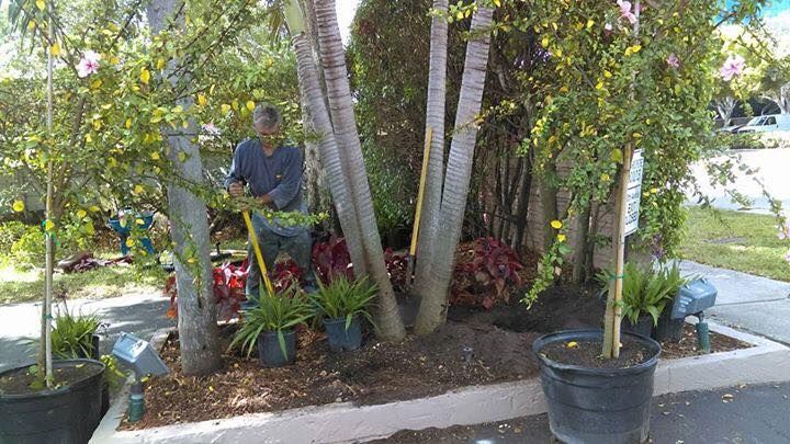 Landscaping