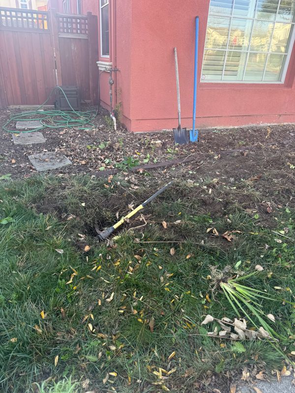 Landscaping