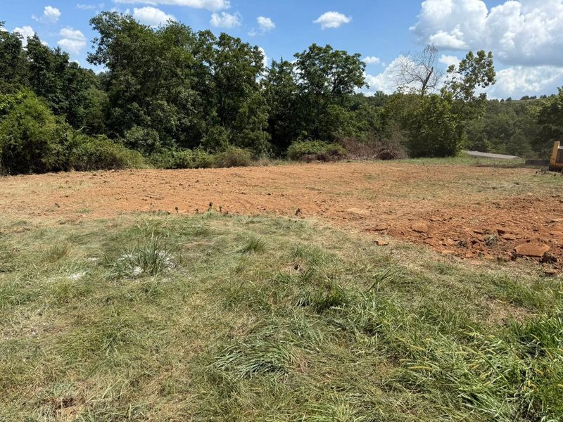 Land Clearing