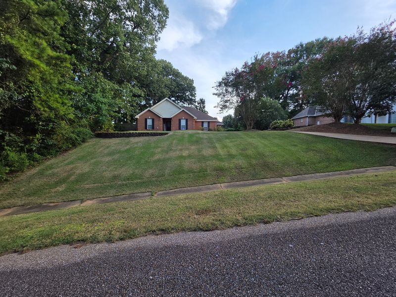 Lawn Maintenance