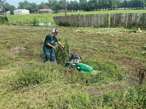 Lawn and Yard Maintenance