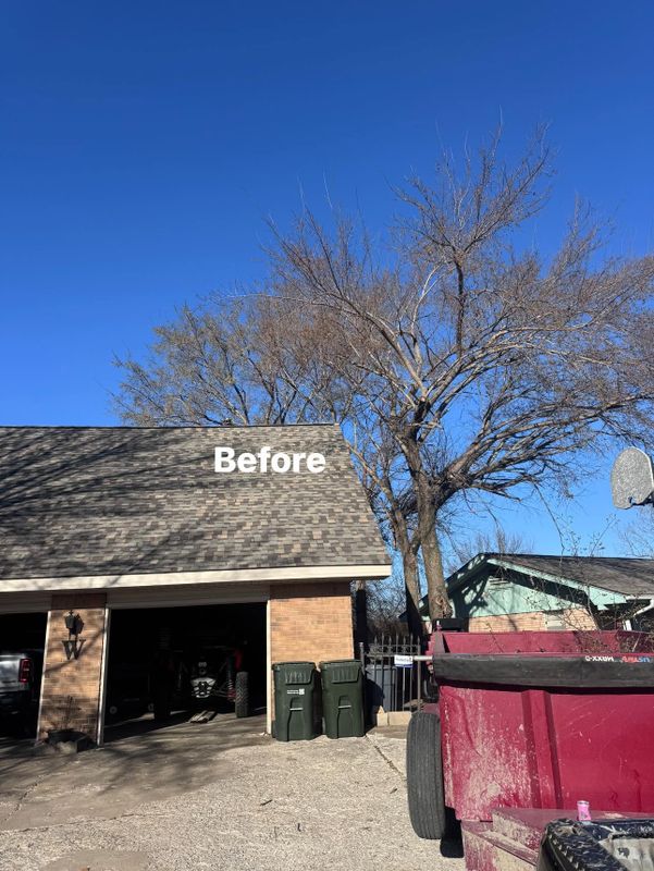 Fall Clean Up