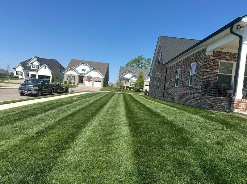 Elevate Your Curb Appeal: Stunning Lawn Transformation in Tennessee