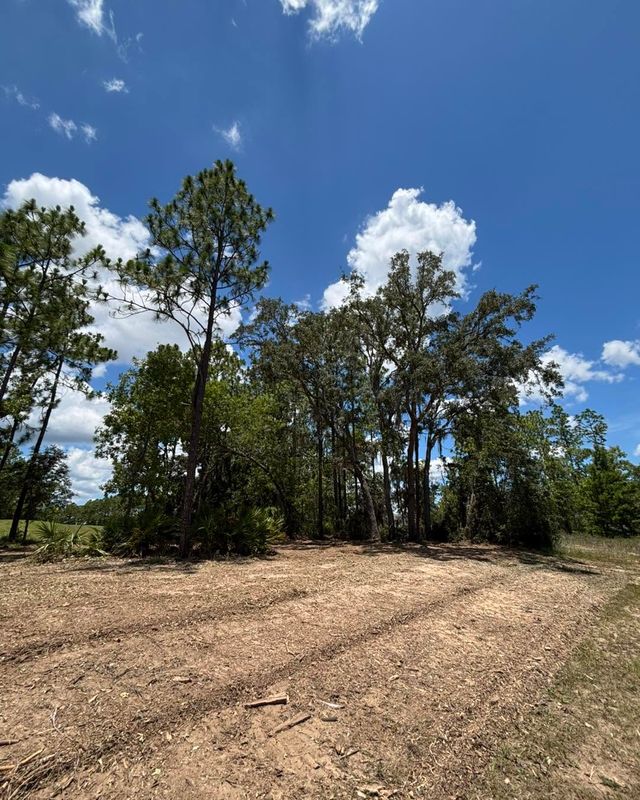 Land Clearing and Site Preparation