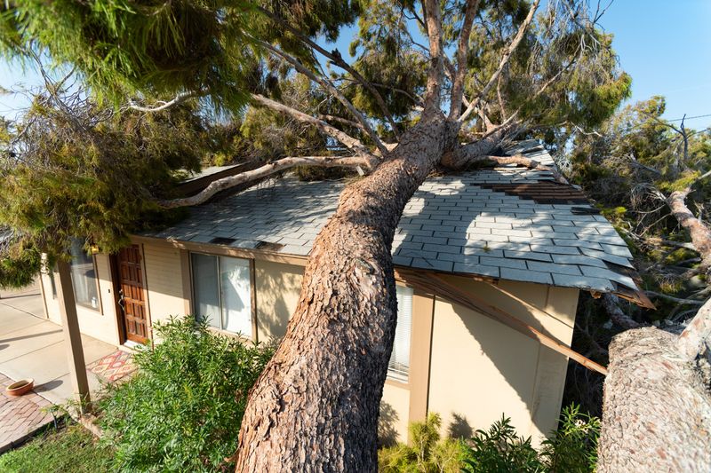 Insurance Claim Assistance