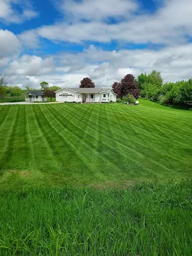 Lawn Maintenance