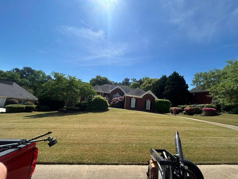 Lawn Maintenance
