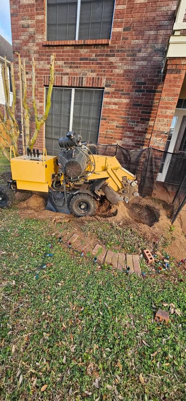 Tree Removal