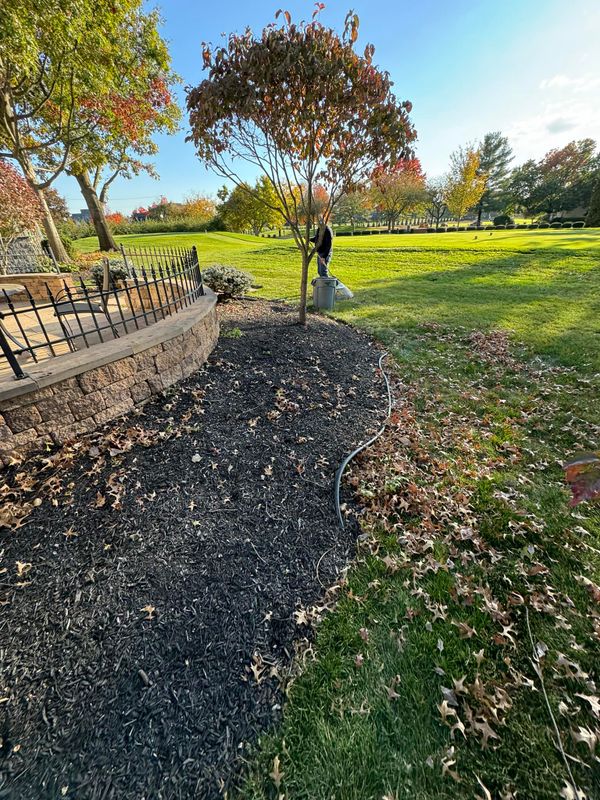 Landscaping