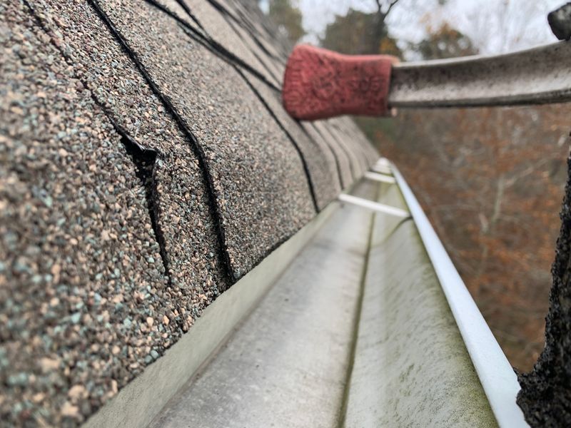 Gutter Cleaning