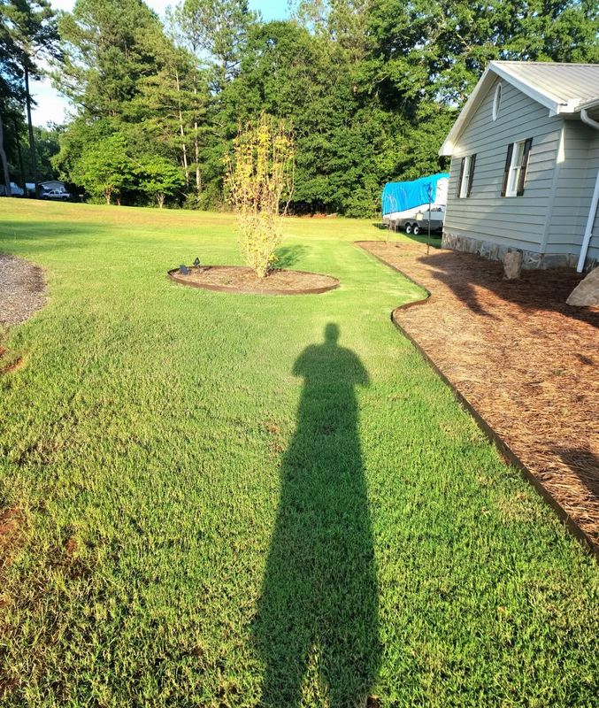 Sod Installation