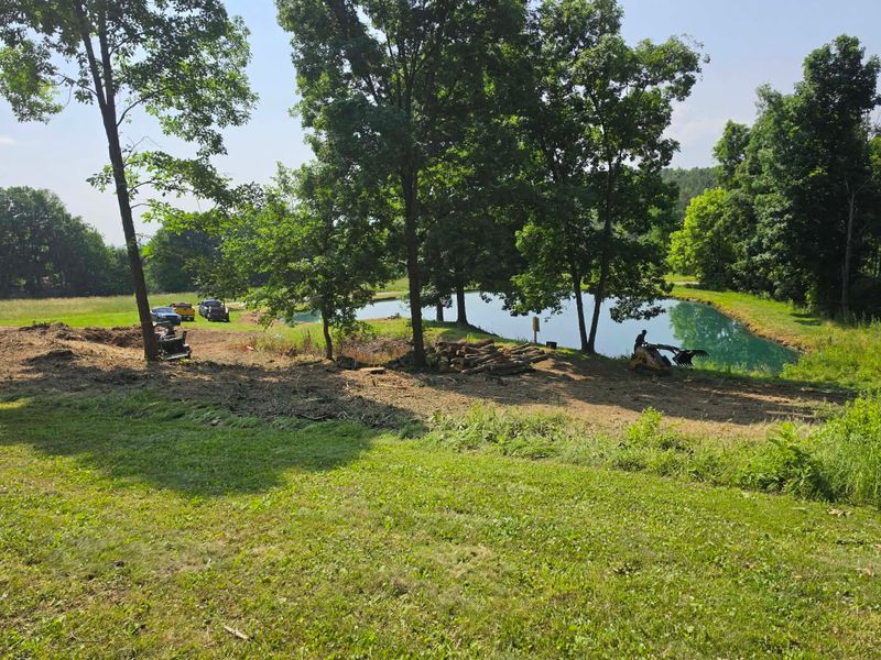 Stump Removal / Stump grinding